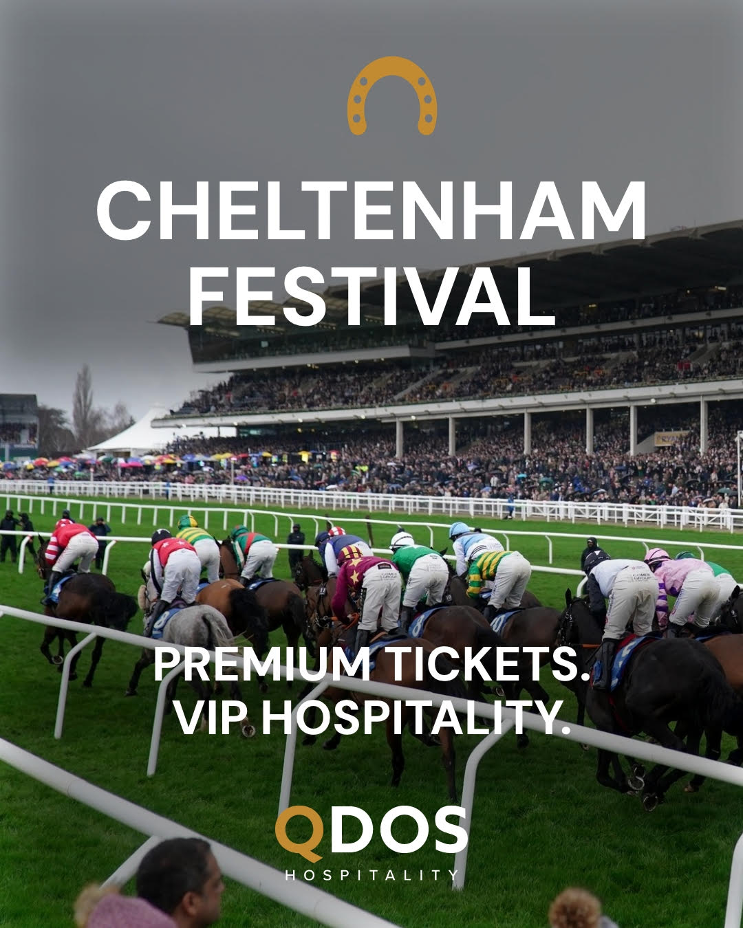 Cheltenham Festival 2026 Hospitality Packages | Cheltenham Racecourse