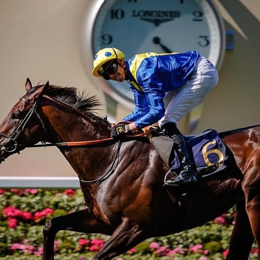 HORSE RACING 2025/26 – PREMIUM HOSPITALITY 🏇